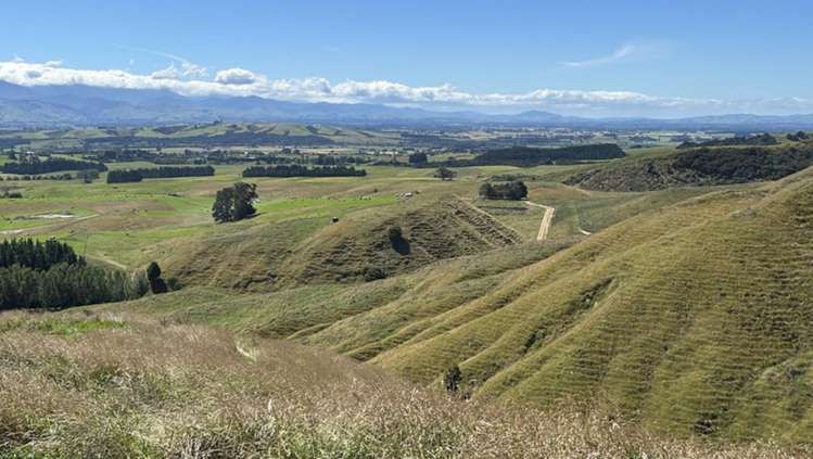 Millars Road Carterton_5