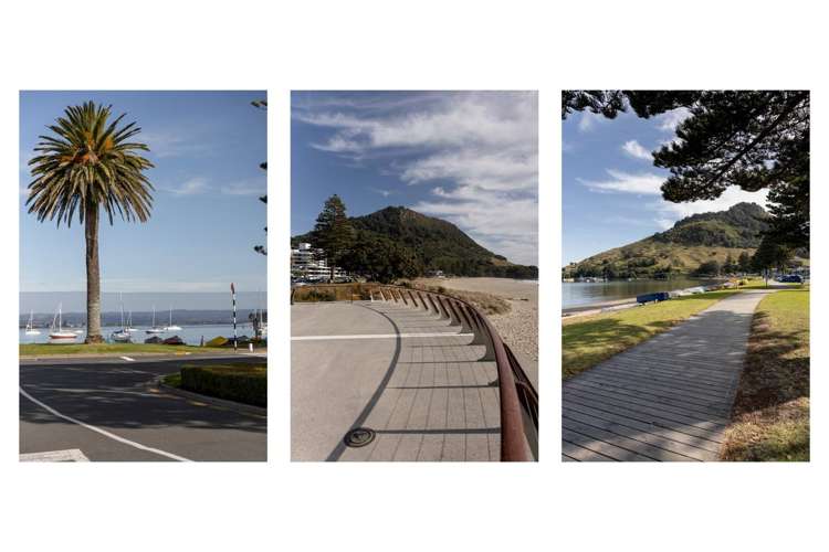 11B Monowai Street Mount Maunganui_17