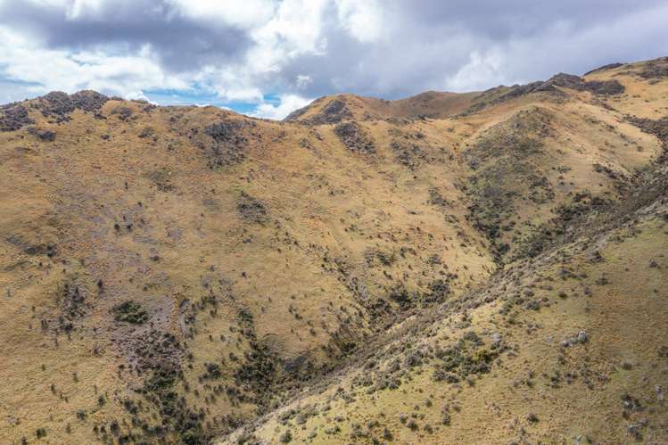 1731 Ram Paddock Road Ashley Forest_14