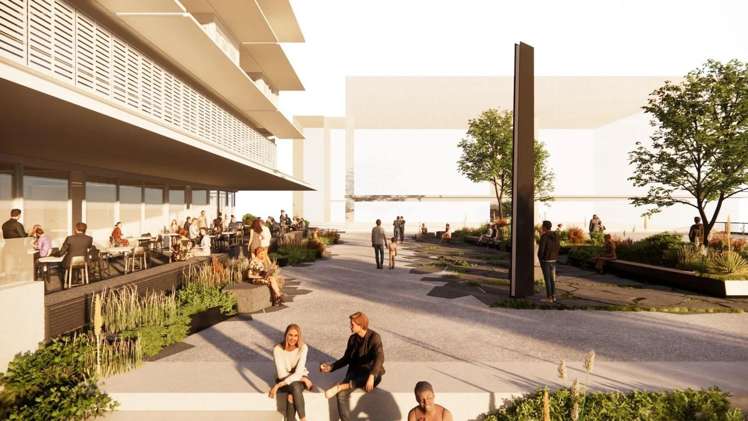 292 Ponsonby Road Ponsonby_4