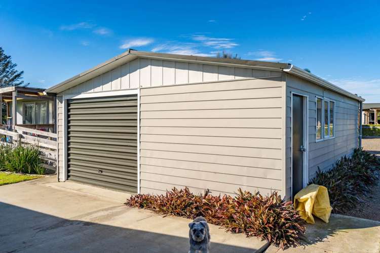 712 One Tree Point Road One Tree Point_29