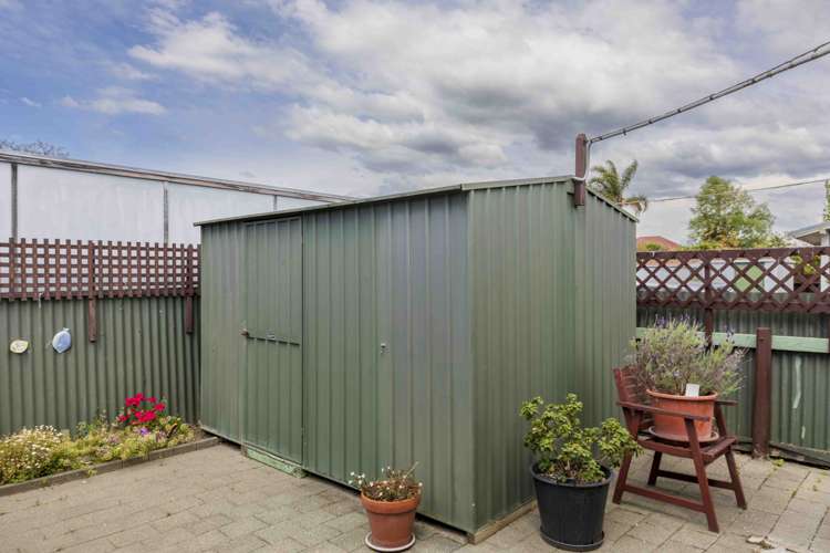 509 Tomoana Road Saint Leonards_13