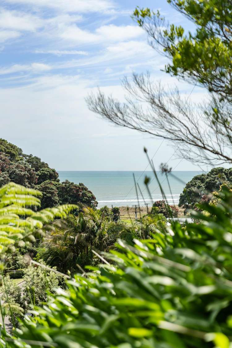 27 Bryan Road Ohiwa_31