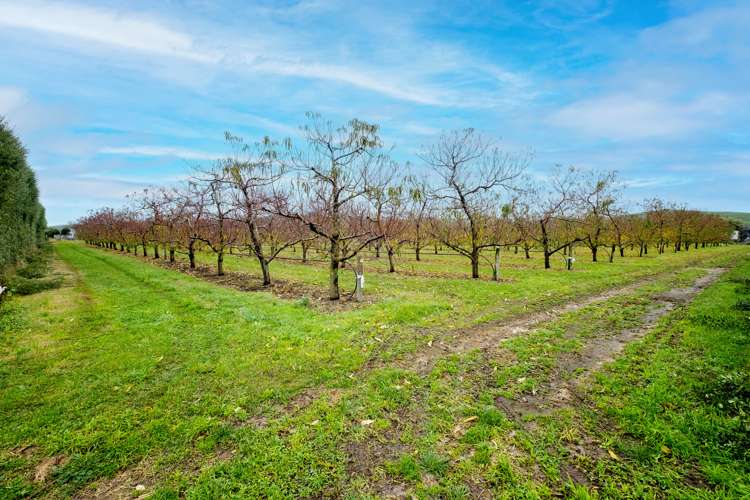 174 Moteo Pa Road Puketapu_13