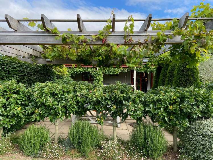 79 Reading Street Greytown_13