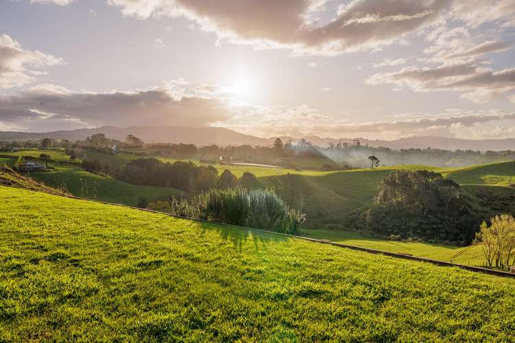 230d Waipapa Block Road Whakamarama_6