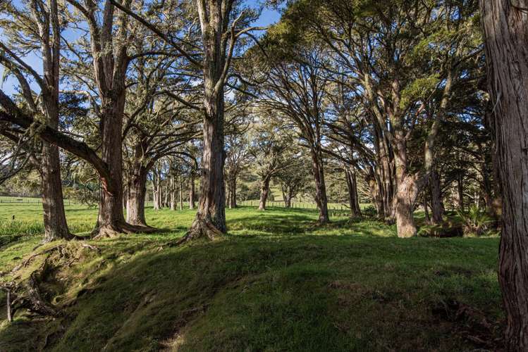 243 Harris Road Glenbervie_27