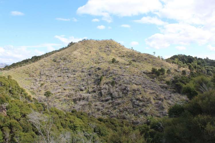 299 Branscombe Road Pongaroa_10