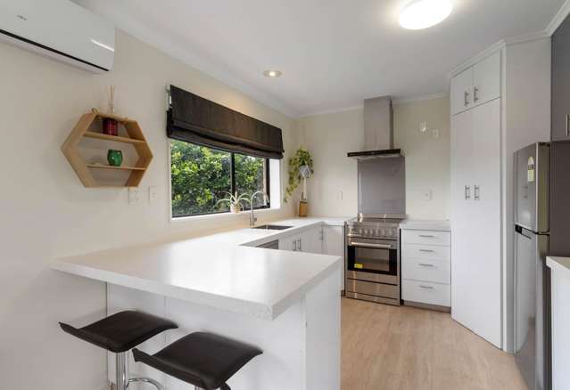 215A Queen Street Pukekohe_2