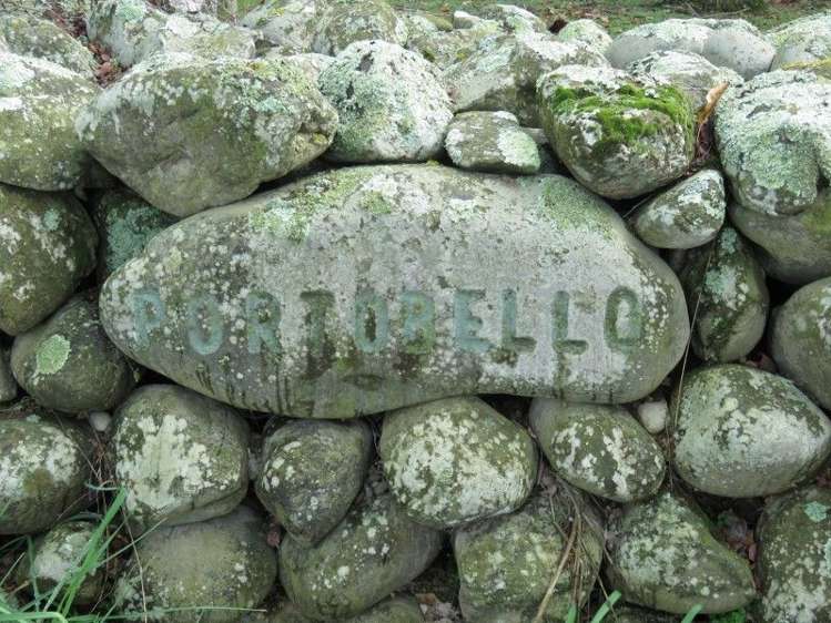 293 Hackthorne Road Carew_20