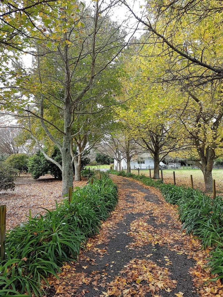 2 Penny Road Pirongia_3