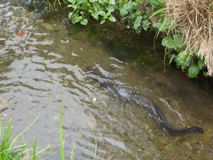 116 South Road Solway_18