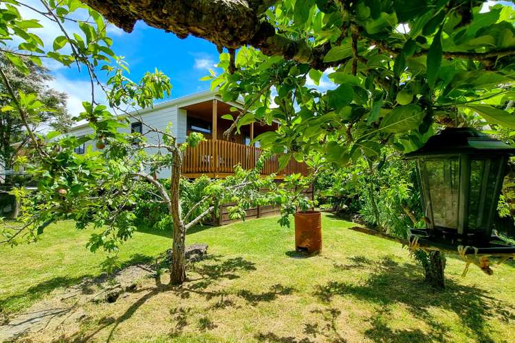 1182 Kennedy Bay Road Coromandel_12