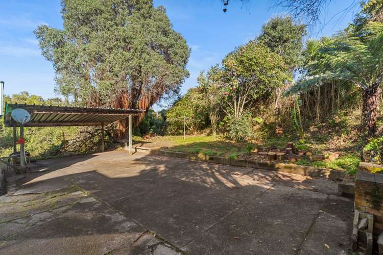 33 Bayfield Road Ponsonby_6