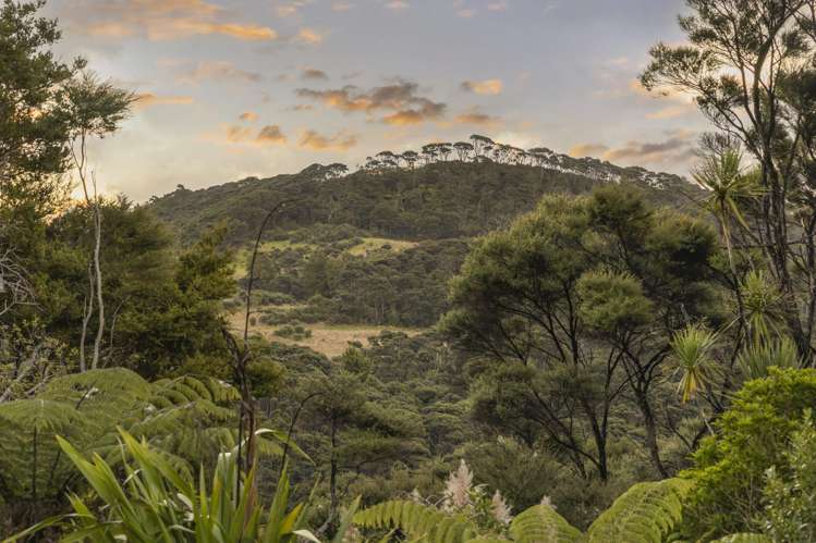 1223 Old North Road Waimauku_18