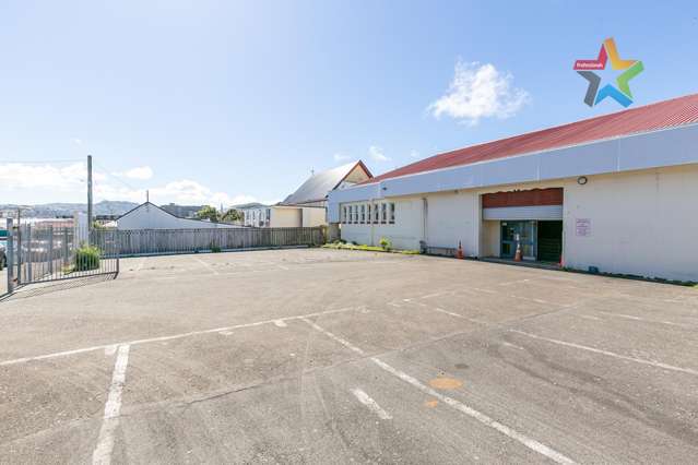 15 Ferguson Street Newtown_2