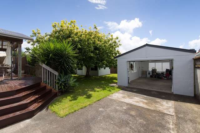 19 Jasper Avenue Mount Roskill_2