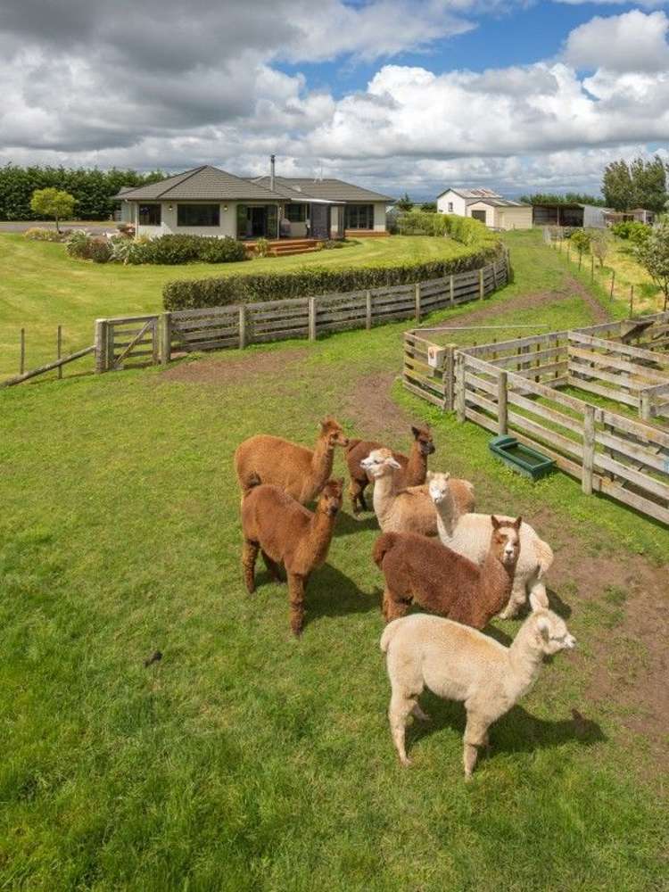 99 Spur Road West Feilding_22