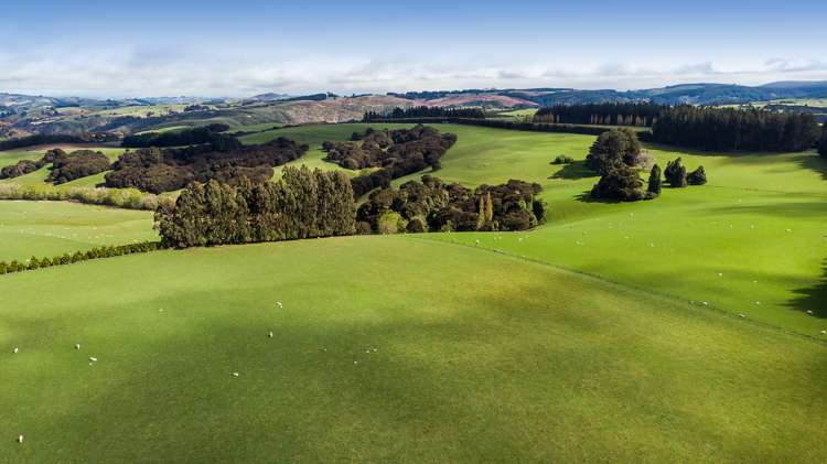 1087 Table Hill Road Milton_2