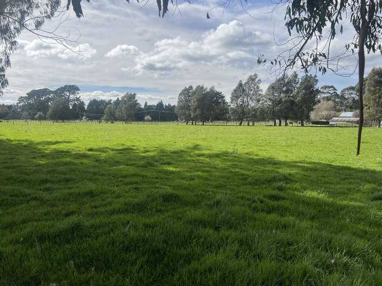 Tutaekara Road Pahiatua_7