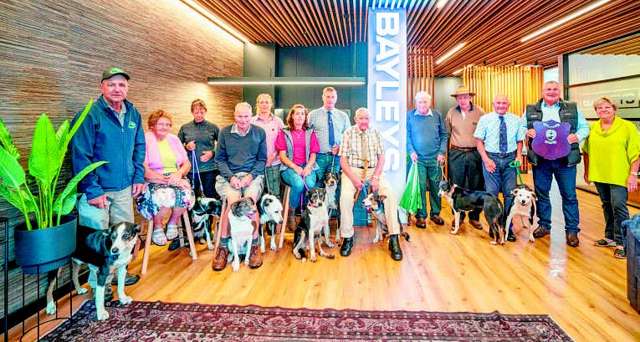 Bayley's Shield the Ranfurly of dog trials