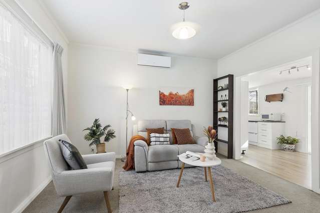 35 Awa Road Miramar_4