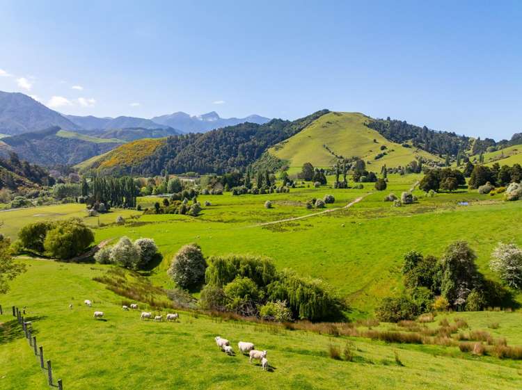 2323 Motueka Valley Highway Ngatimoti_4