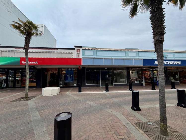 65 Emerson Street Napier South_3