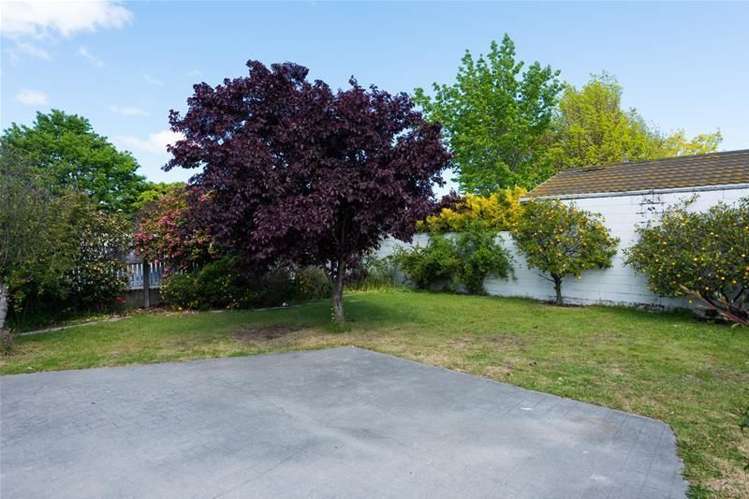 116a Maxwell Road Blenheim Central_5