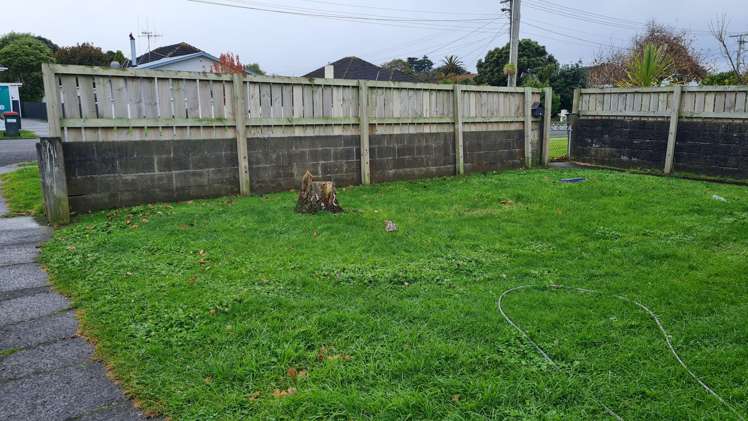 17 Rimu Street_4