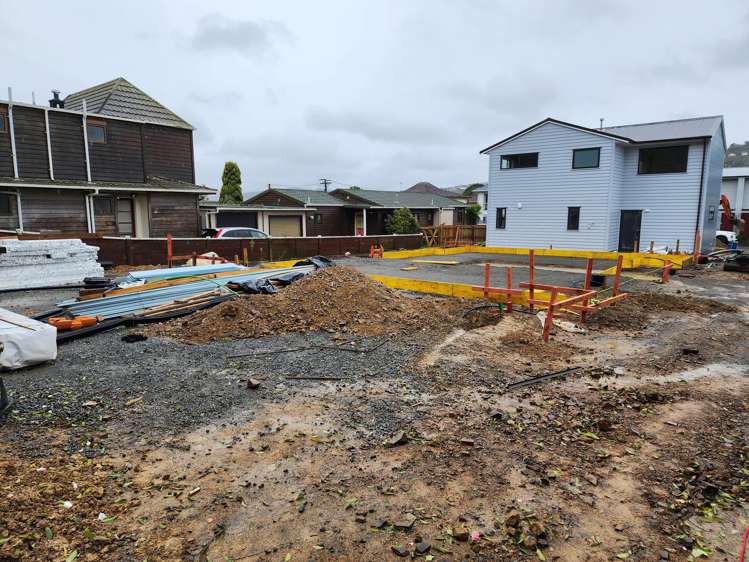 44a Phillip Street Johnsonville_22