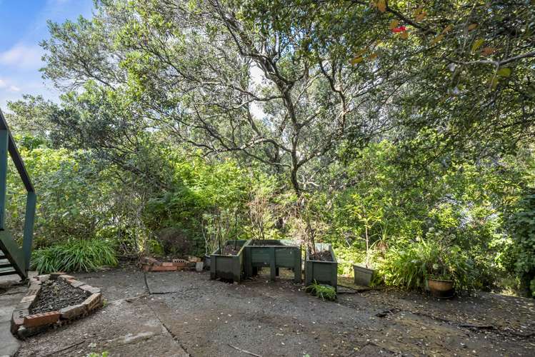 64 Haslett Street Eden Terrace_13