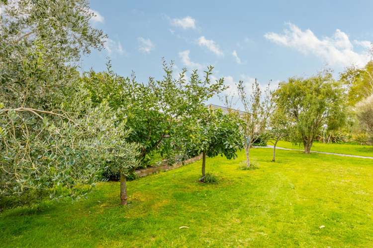 219A Porangahau Road Waipukurau_17