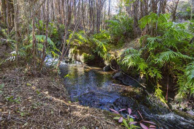 7 Mead Lane Ohakune_3