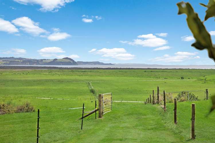 251 Mairetahi Road South Head_6