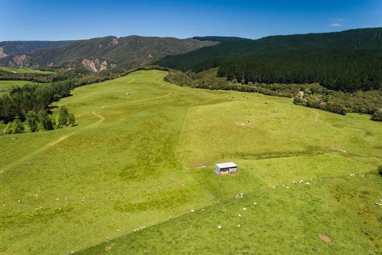 1127 Glenross Waiwhare_10