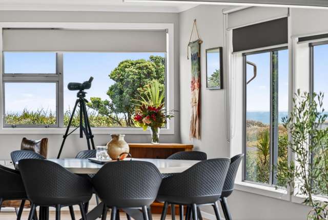 401 Ormond Drive Mahia Peninsula_4