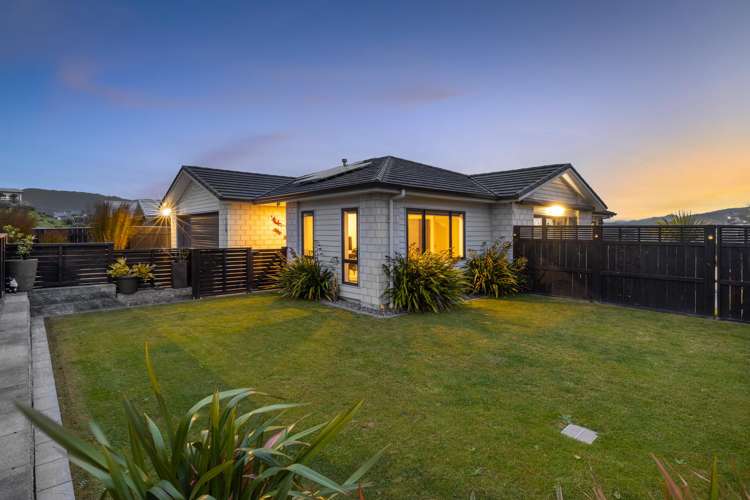 118 John Burke Drive Aotea_1