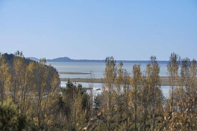 101 Turntable Hill Road Whakamarama_19