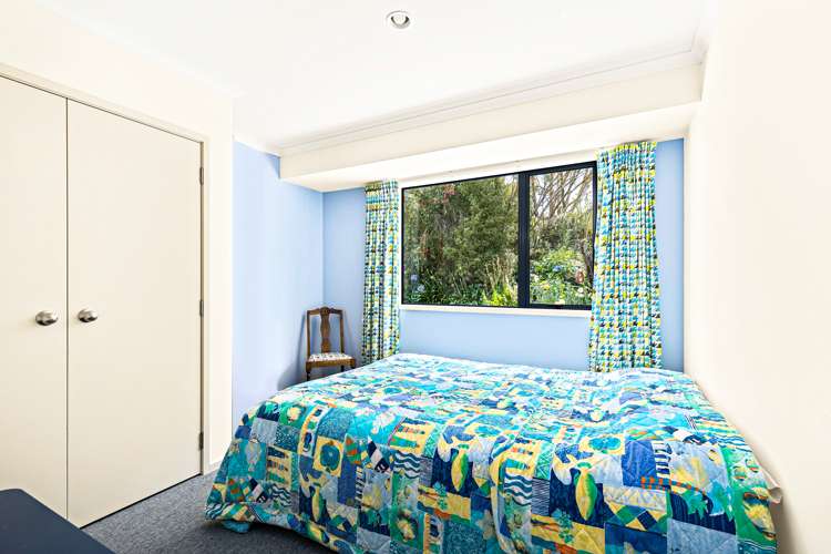 101 Guy Road Kaipara Flats_13