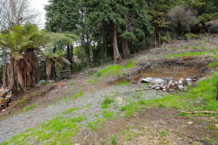 277 Waitea Branch Road Kakahi_17