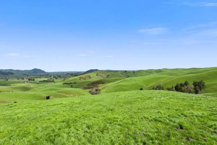 500 Tahuroa Road Tauwhare_27