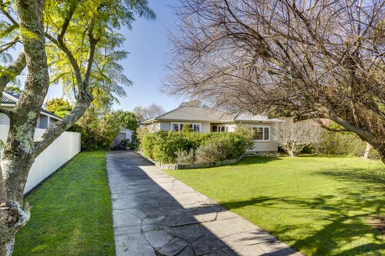 60 Napier Street Jervoistown_18