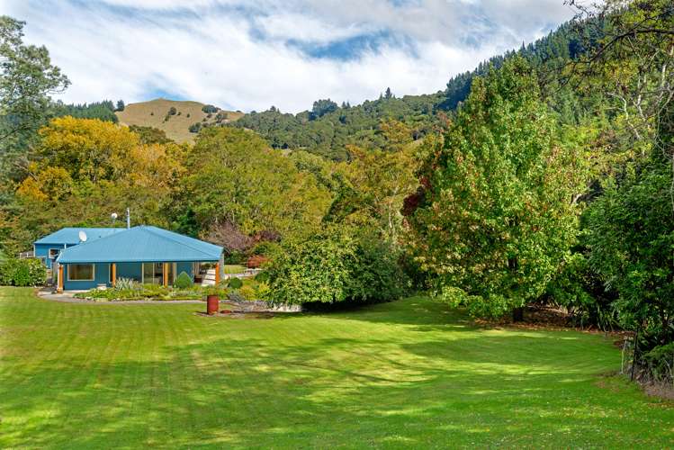 631 Riverside Road Matokitoki_14