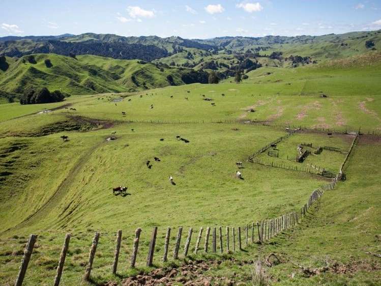 1190 Ohura Road Waimiha-Ongarue_1