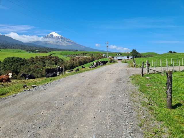 3009 Carrington Road Okato_1