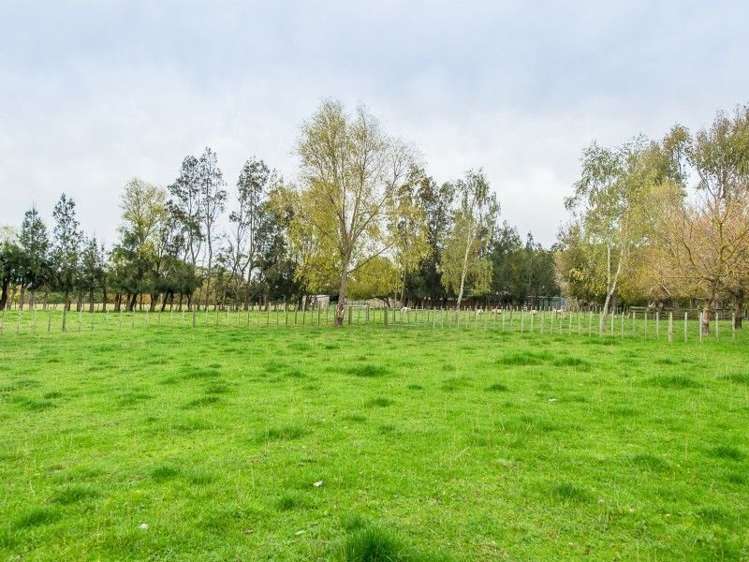 161a No 3 Line Wanganui East_10