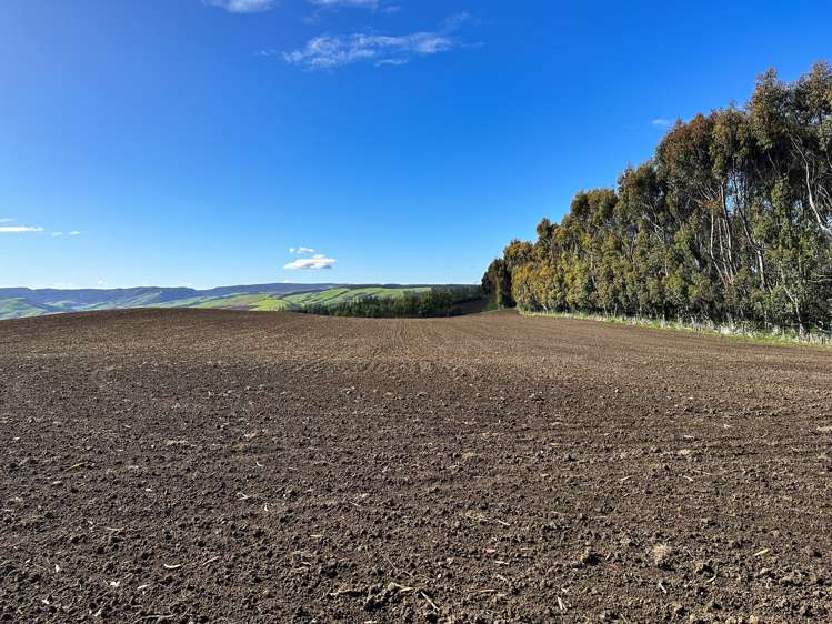 30 Frazer Road Gore Surrounds_6