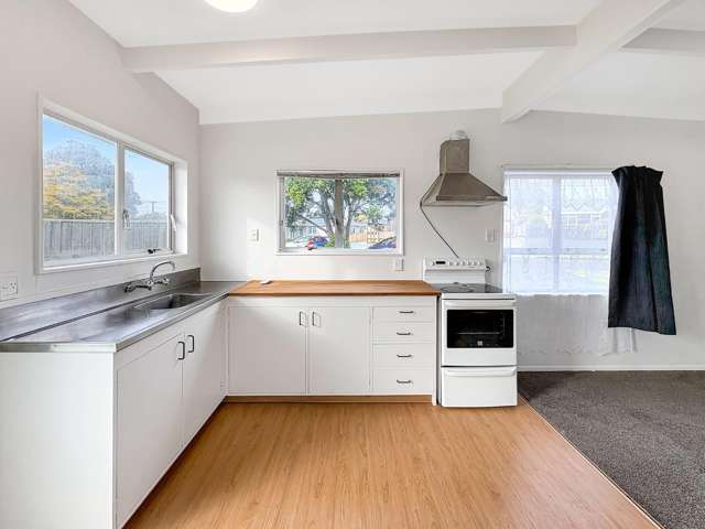 13A Titoki Street 1200_1