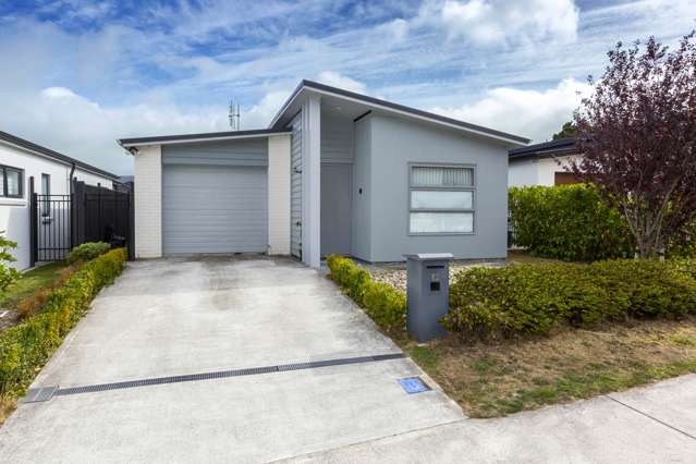 12 Buddle Road Wallaceville_1